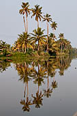 Kerala backwaters, our three hours neighborhood tour in the narrow canoe towards Vembanad Lake and along one of the  narrow canal running near our guest house at Kumarakom. 